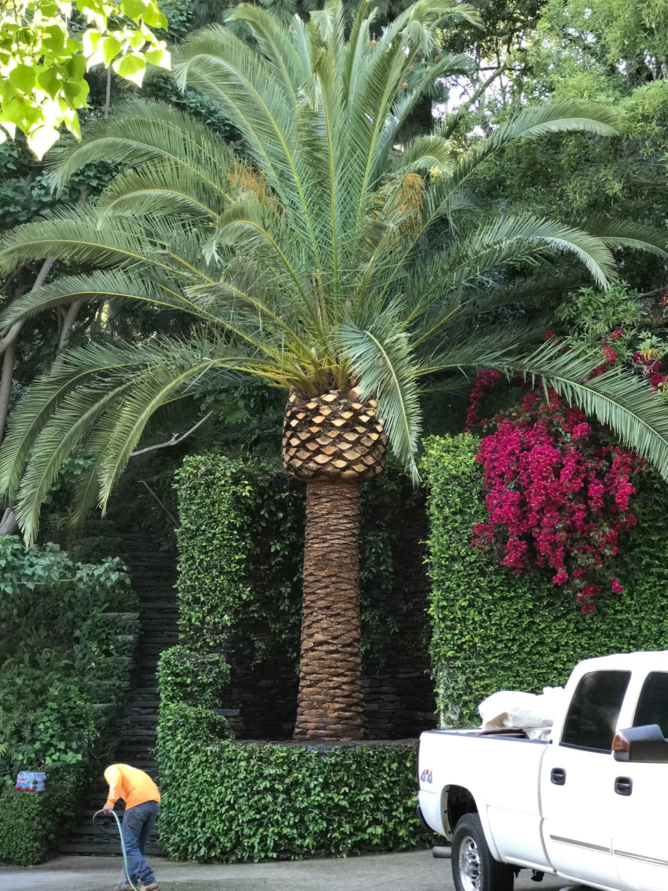 Landscape Architect & Specifier News LADetails Product Search