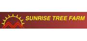 Sunrise Tree Farm