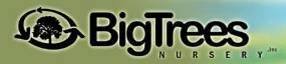 Big Trees Nursery