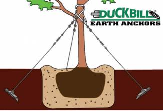 Two Duckbill  Earth Anchors