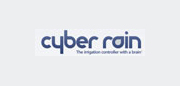 Cyber Rain