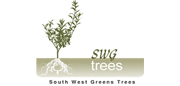 SWG Olive